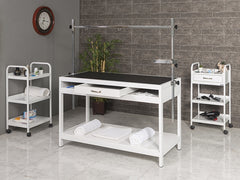 Veteriner Pet Bakım ve Muayene Masası, Veteriner Muayene Masası, Sabit Ayak Veteriner Masası