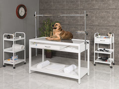 Sabit Veteriner X-ray Masası, Tasma Asma Aparatlı Veteriner Masası, Ucuz Pet Rontgen Masası