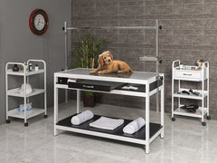 Sabit Veteriner X-ray Masası, Tasma Asma Aparatlı Veteriner Masası, Ucuz Pet Rontgen Masası