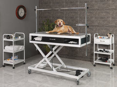 Yükseklik Ayarlı Veteriner Xray Masası, Motorlu Veteriner Masası, Çekmeceli Veteriner Sedyesi, Ucuz Veteriner Masası