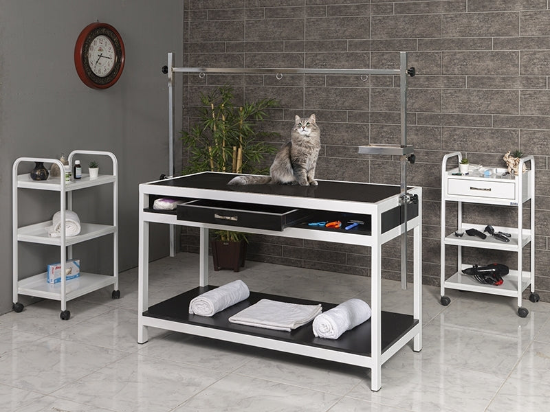 Veteriner Pet Bakım ve Muayene Masası, Pet Kuaför Masası, Veteriner Masası
