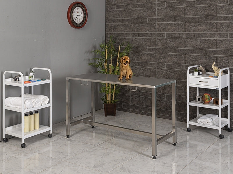 Komple Paslanmaz Veteriner Ameliyat Masası, Ucuz Veteriner Masası, Veteriner Malzemeleri, Veterinerler