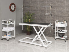 Veteriner Pet Bakım ve Muayene Masası | ProBed-6008