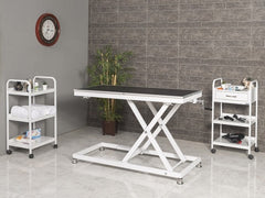 Veteriner Pet Bakım ve Muayene Masası | ProBed-6008