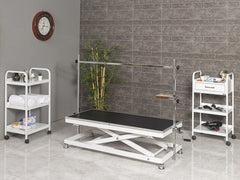 Veteriner Pet Bakım ve Muayene Masası | ProBed-6008