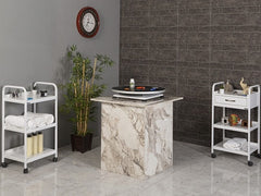 Veteriner Pet Bakım ve Muayene Masası | ProBed-6001