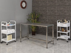 Veteriner Masası (Komple Paslanmaz) | ProBed-6301