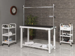 Veteriner Pet Bakım ve Muayene Masası | ProBed-6005