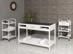 Veteriner Pet Bakım ve Muayene Masası | ProBed-6006