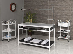 Veteriner Röntgen (X-Ray) Masası | ProBed-6202