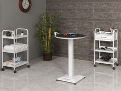 Veteriner Pet Bakım ve Muayene Masası | ProBed-6002