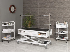 Veteriner Pet Bakım ve Muayene Masası | ProBed-6011