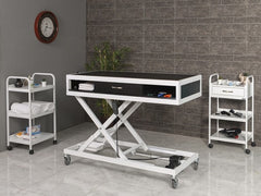 Veteriner Pet Bakım ve Muayene Masası | ProBed-6010