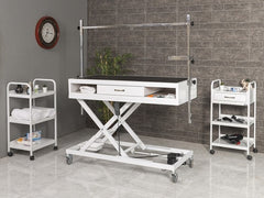 Veteriner Pet Bakım ve Muayene Masası | ProBed-6011