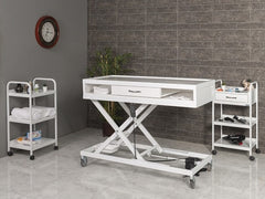 Veteriner Röntgen (X-Ray) Masası | ProBed-6203