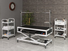 Veteriner Pet Bakım ve Muayene Masası | ProBed-6010