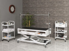 Veteriner Pet Bakım ve Muayene Masası | ProBed-6011