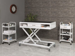 Veteriner Pet Bakım ve Muayene Masası | ProBed-6011