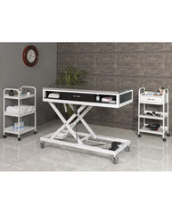 Veteriner Ameliyat ve Operasyon Masası | ProBed-6109