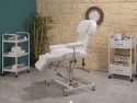 Height Moving spa seat