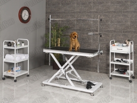 Veterinary Pet Maintenance and Exam Table-Small | ProBed-6009