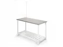 Veterinary Surgery and Examination Desk | ProBed-6101