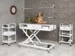 Veterinarian Surgery and Operations Desk