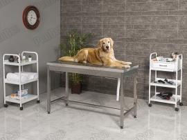 Veterinary Desk (Composition Stainless) | ProBed-6303