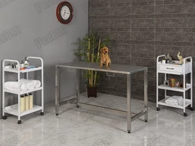 Compact Stainless Veterinarian Surgical Table