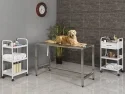 Veterinary Desk (Composition Stainless)