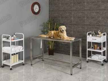 Veterinary Desk (Composition Stainless)