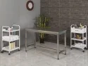 Veterinary Desk (Composition Stainless) | ProBed-6304