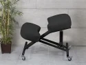 Amortisörlü Dik Duruş Sandalyesi, Frenli Tekerli Dik Duruş Sandalyesi, Amörtisörlü Arkalıksız Dik duruş Sandalyesi