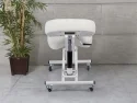 Depreciated Upright Posture Chair | White