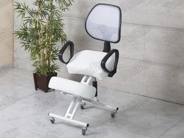 Depreciated Upright Posture Chair | Rear-White