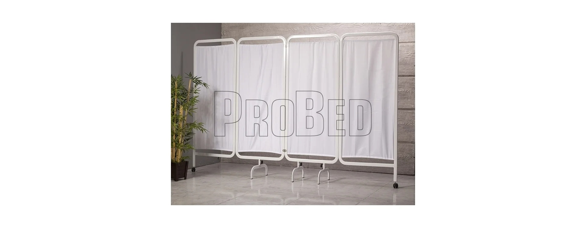 Front Partition – Probed