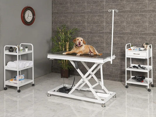 What Are Veterinary Supplies?