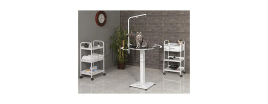 Stainless Veterinary Table Manufacturer
