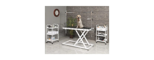 Stainless Vet Table