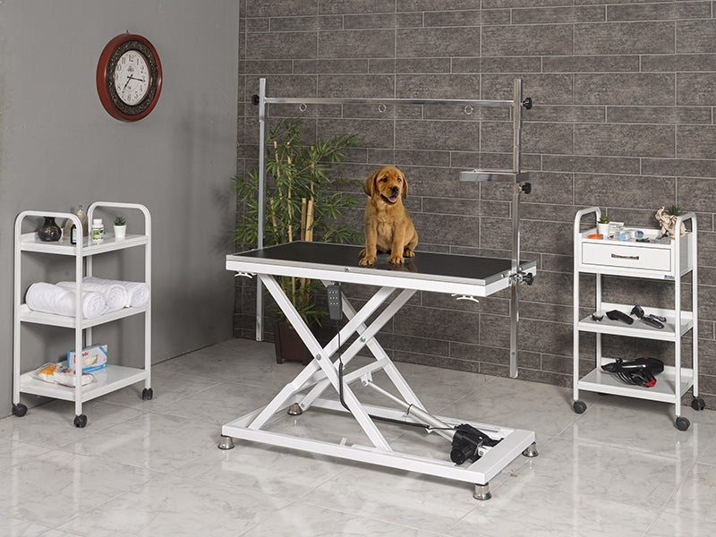 Veteriner Pet Bakım ve Muayene Masası 