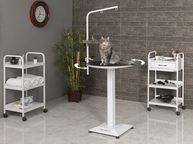 Veteriner Pet Bakım ve Muayene Masası, Dönebilen Veteriner Masası, Hareketli Veteriner Masası