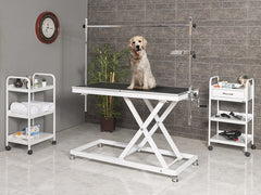 Veteriner Pet Bakım ve Muayene Masası 