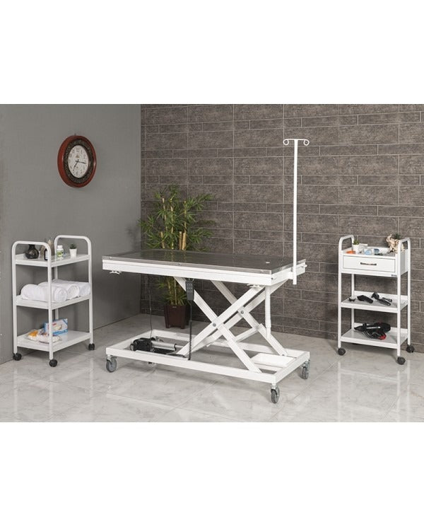 Veteriner Ameliyat ve Operasyon Masası - Large | ProBed-6107