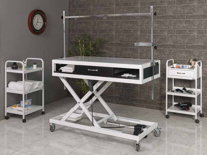 Veteriner Röntgen (X-Ray) Masası | ProBed-6204
