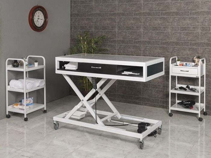 Veteriner Röntgen (X-Ray) Masası | ProBed-6204