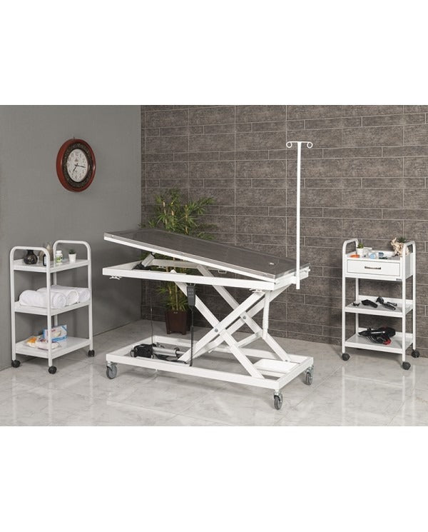 Veteriner Ameliyat ve Operasyon Masası - Large | ProBed-6107