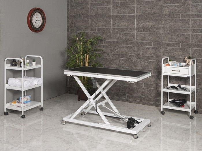 Veteriner Pet Bakım ve Muayene Masası - Small | ProBed-6009