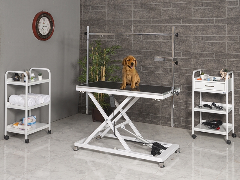 veterinary-pet-maintenance-and-exam-table-small-probed-6009